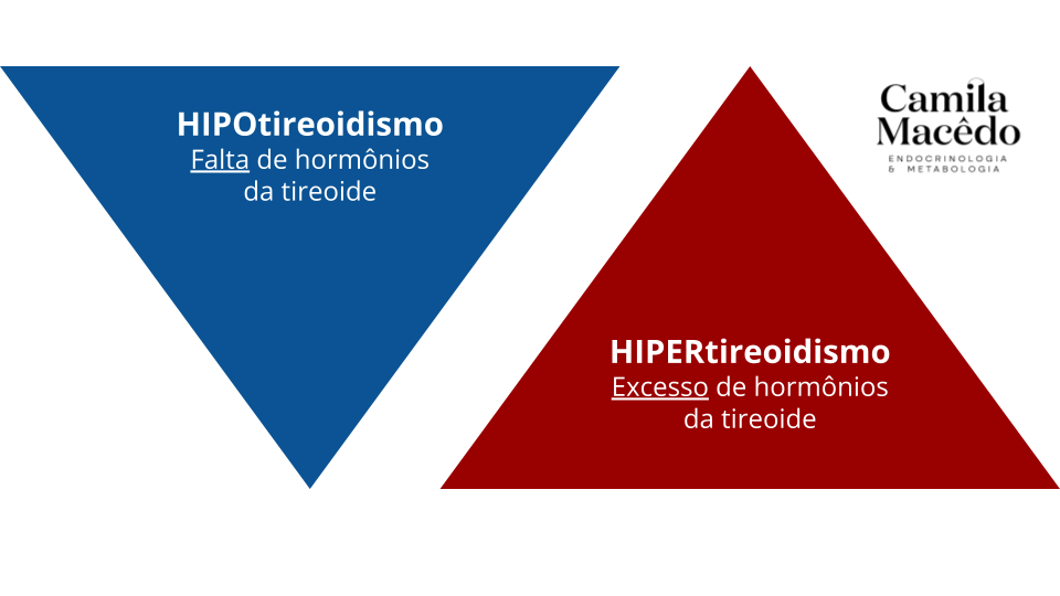 Explicação sobre hipotireoidismo e hipertireoidismo