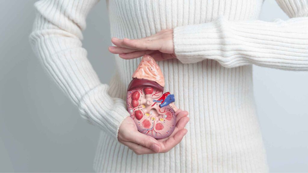 Glândula adrenal